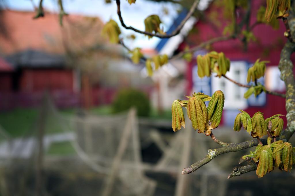 Holiday Terrace Nida Dış mekan fotoğraf